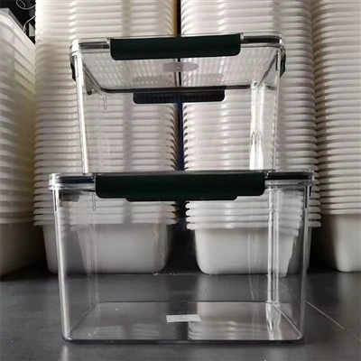 Plastic Food Container Mould